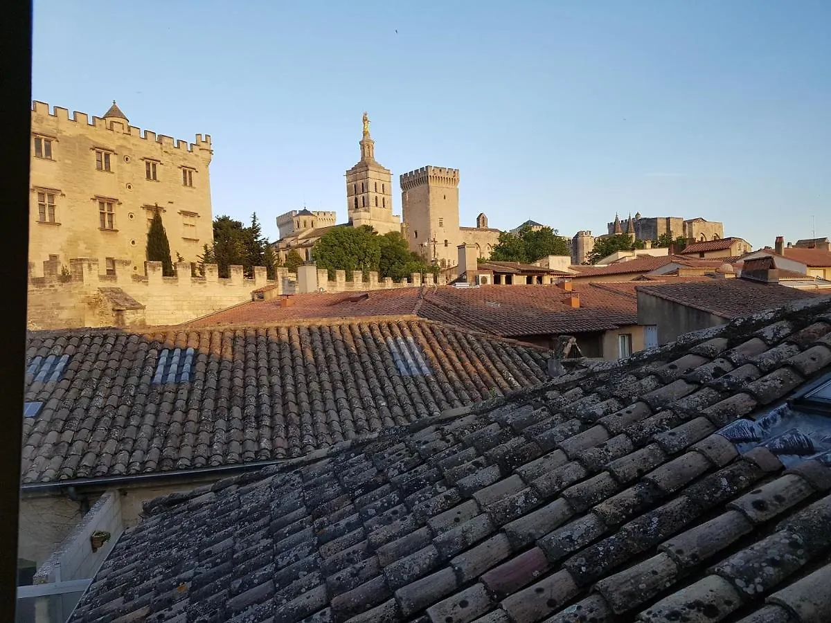 Magnifique Duplex Vue Palais Des Papes Pres De Pont D'Avignon Apartment 0*, Avignon